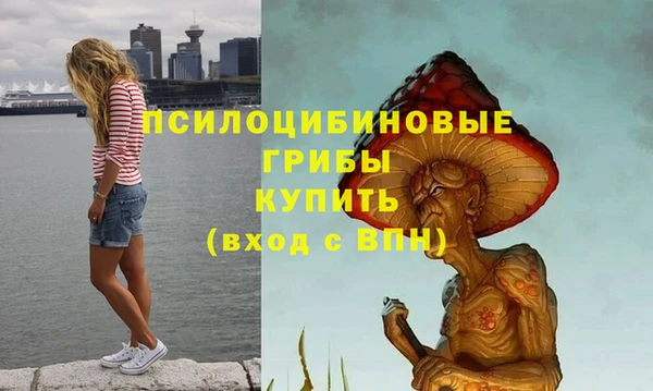 ALPHA PVP Арсеньев