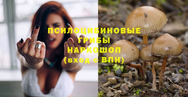 прущая мука Армянск