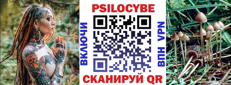 магазин продажи наркотиков  сайты даркнета формула  Псилоцибиновые грибы GOLDEN TEACHER  Любань 